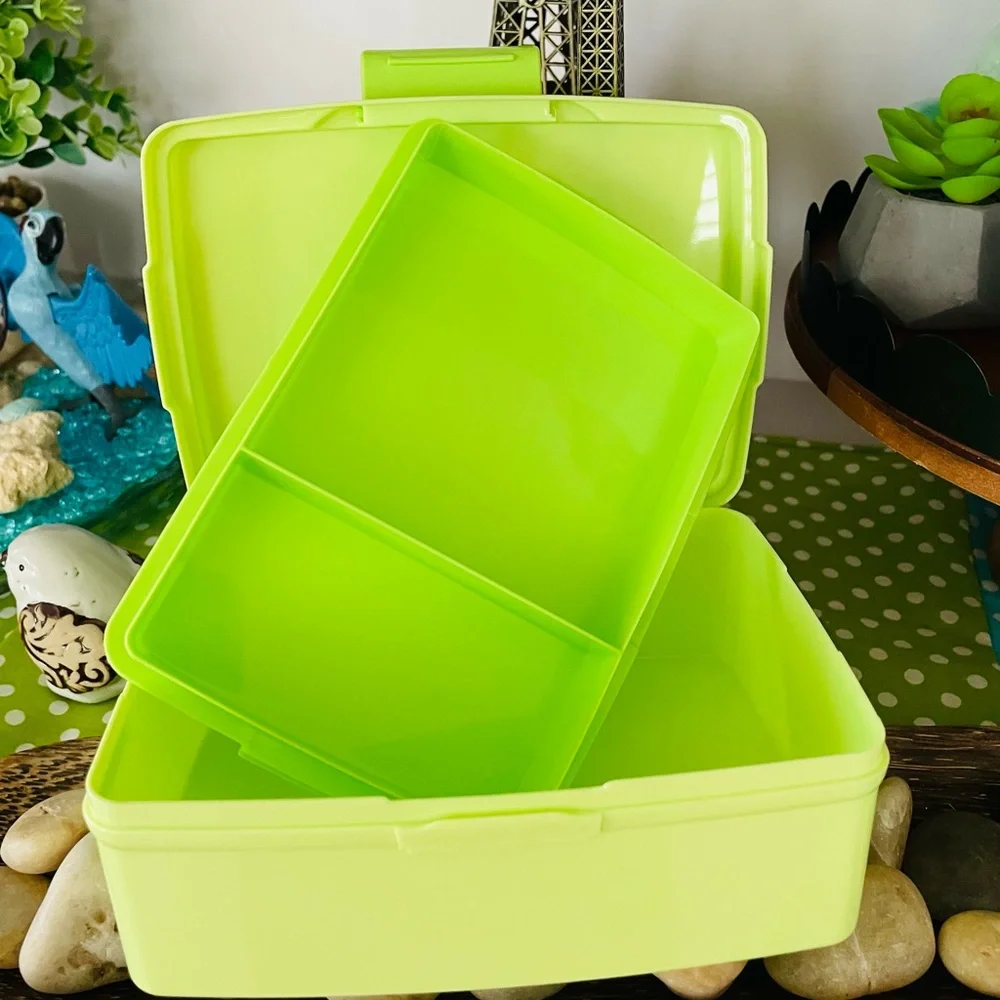 Bento box. Bear Design Snack Box - Light Green